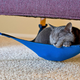 Image for article titled Under Chair Cat Hammock Keeps Fluffy off the Damn Furniture